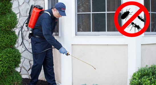 Bayramiç Dezenfeksiyon böcek ilaçlama ve haşere kontrolü — ilaclama-tr.com